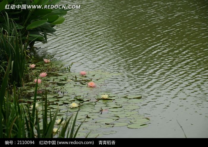 ����һ�� ��ˮ���ͼƬ