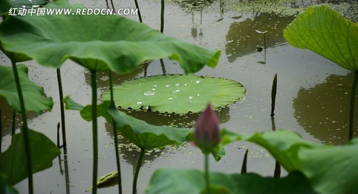 ���̹���