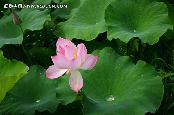 �����಻Ⱦ