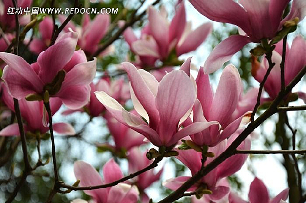 �������ź�����