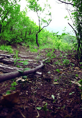 ������·