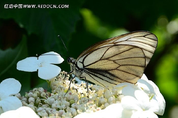 ��Ϣ����