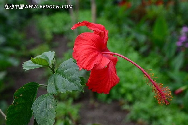 ����ĵ��