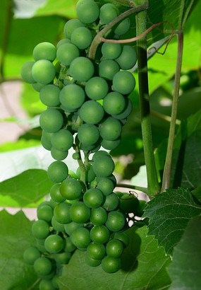 С������