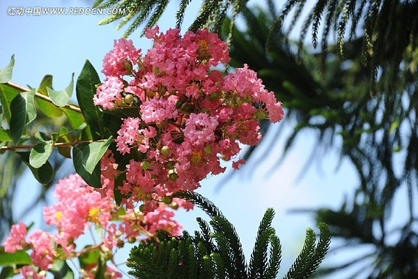 ����ĺ���