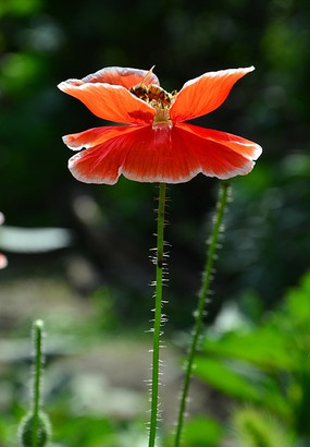 �����˻���