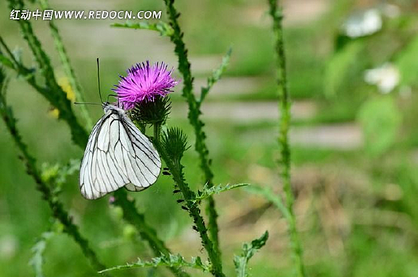 ���ϵĺ���