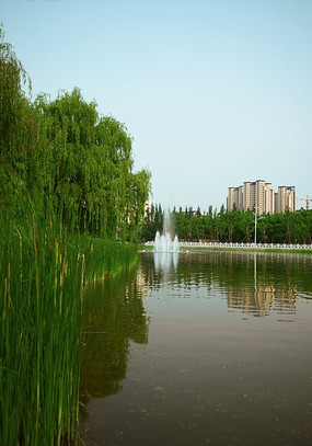 ������Ӱ