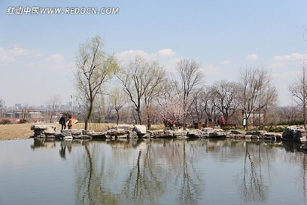 ��԰����