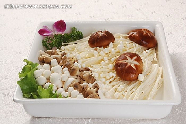 �մ�����