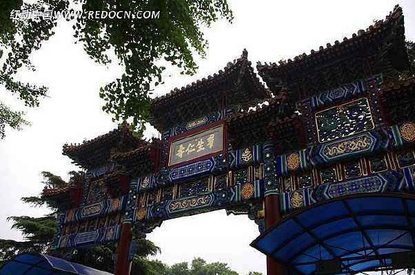 Ӻ�͹�����