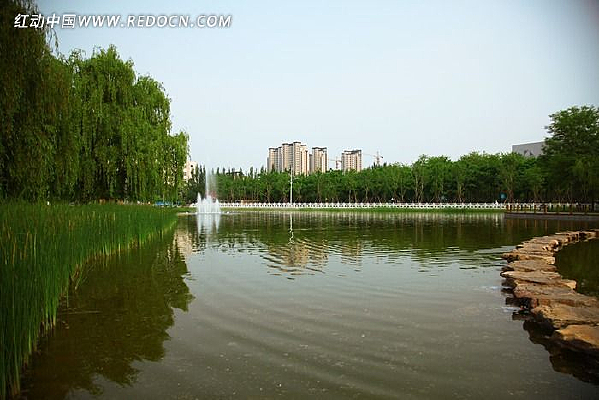 ��԰����