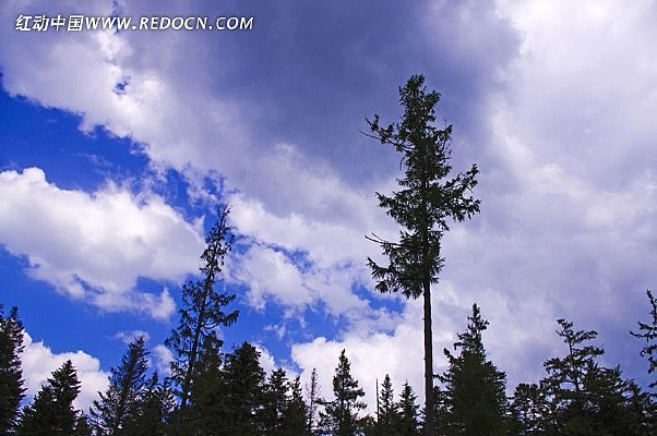 ��ɽ����