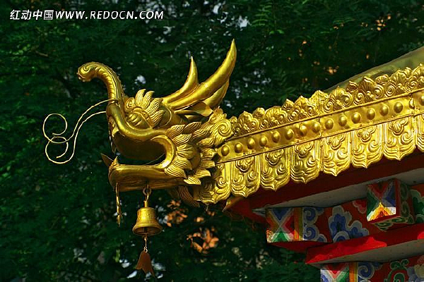 ��ɫ����