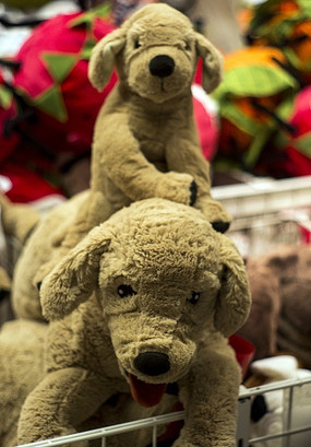 С��ë�����