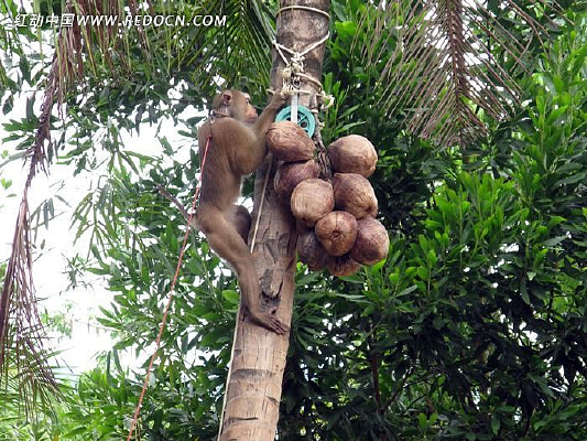 �����ĺ���