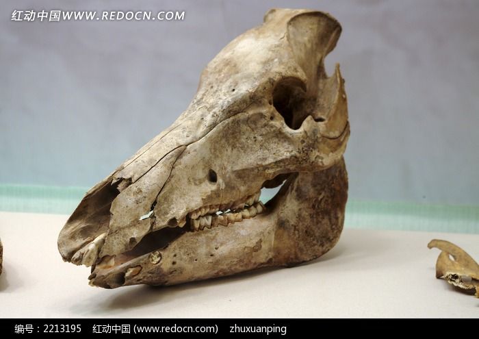 ԭʼ���ﻯʯͼƬ