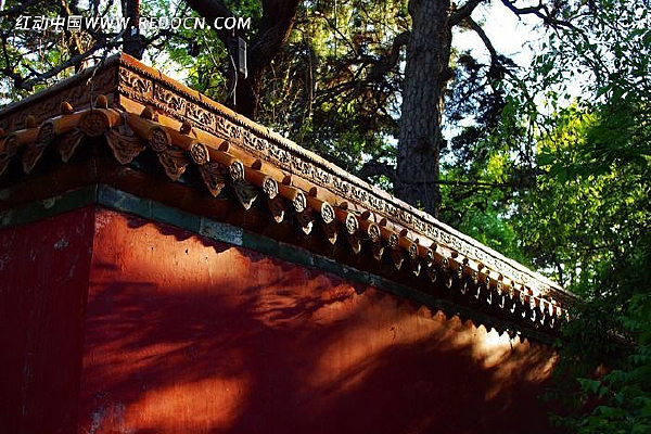 ������Ժǽ