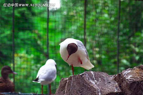 ���������