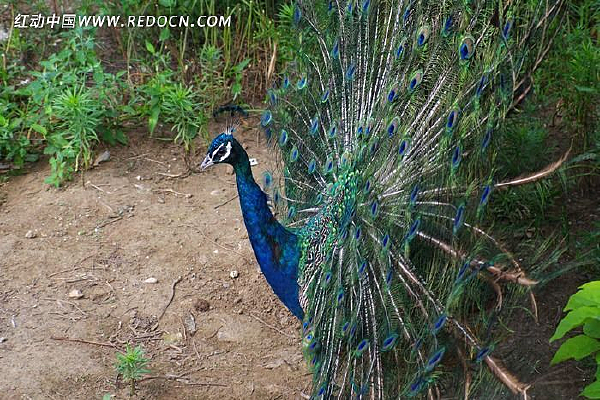 ��ȸ��������