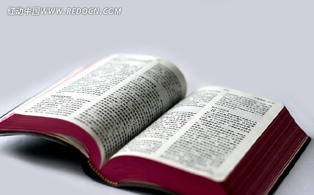 ʥ������