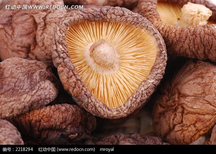 �ؼ����㹽��дͼƬ