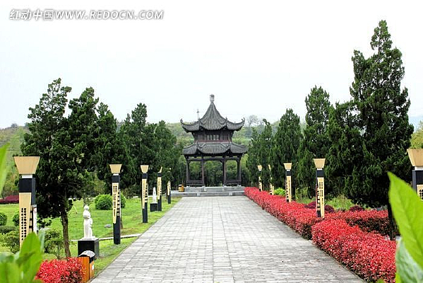 ��ͤ����