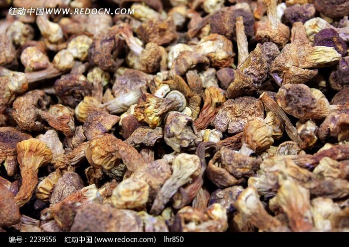 ɽ������ͼƬ