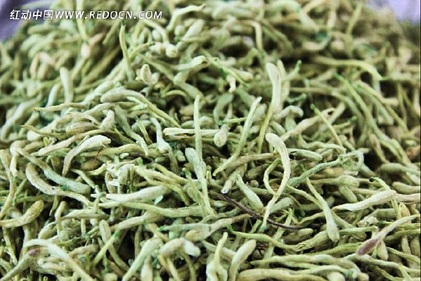 �ɽ�����