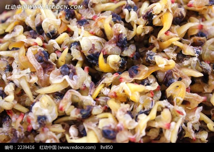 ������ͼƬ