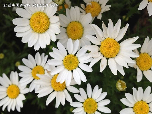 �ջ�����