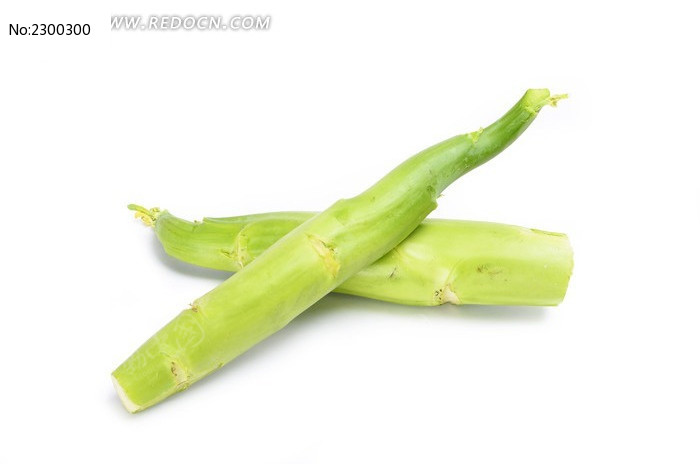 ��Ҷ����ͼƬ