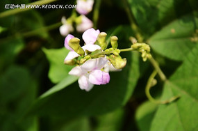 ʢ���ıⶹ��