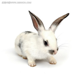 ��ɫ����ͼƬ