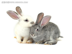 ��������дͼ