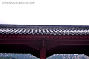 ���ܷ�������