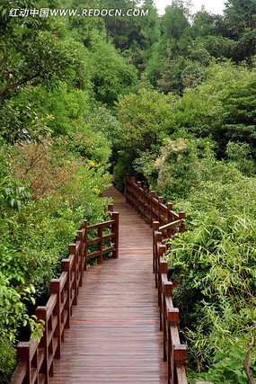 ���ѵ��ּ�С·