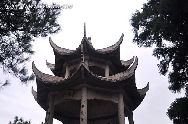 ����ͤ��