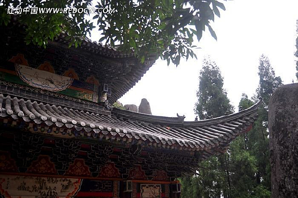 �����ݶ��ṹ