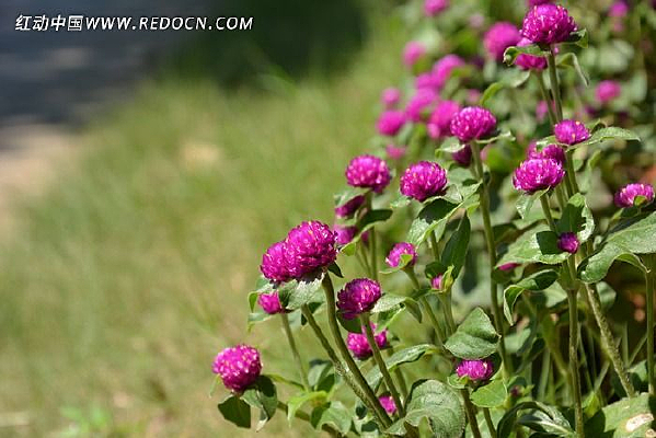 ���պ컨��