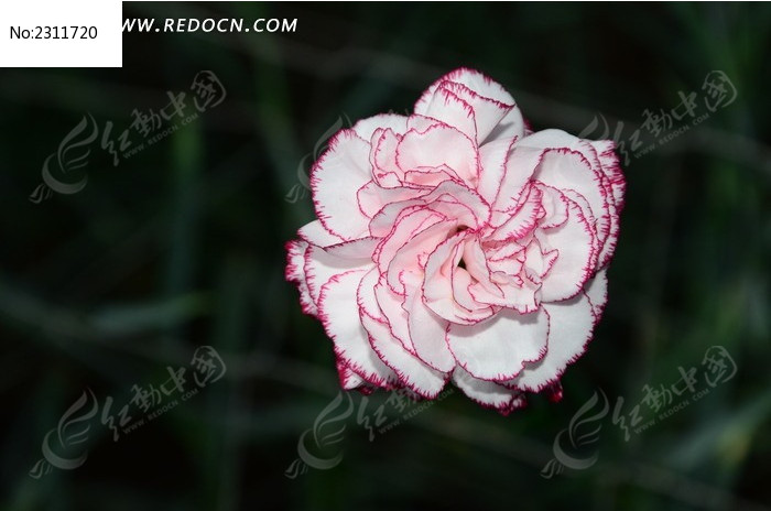 ���޵ĺ�߿���ܰͼƬ