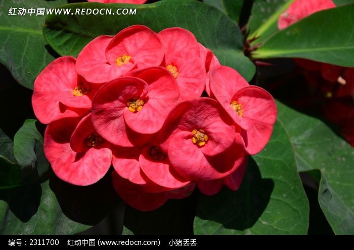 ���޵��ﺣ�Ļ�ͼƬ