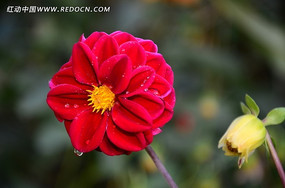 �ջ�ˮ��ˮ��