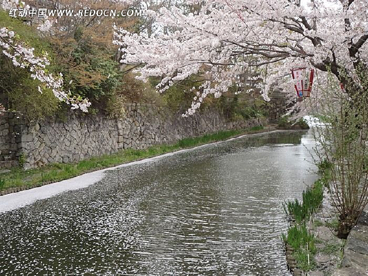 ����ӣ����