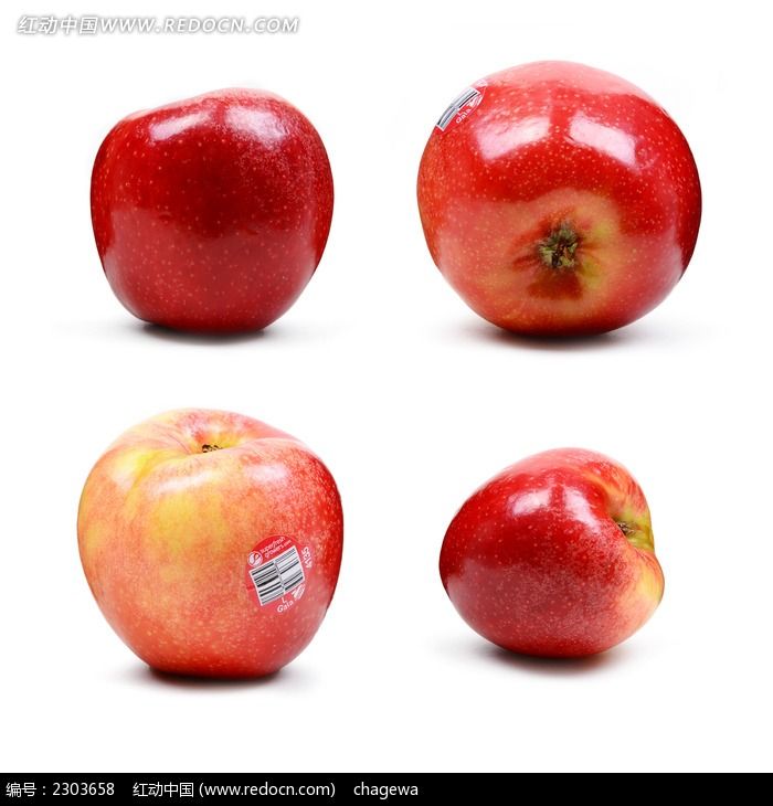 ������ͼƬ