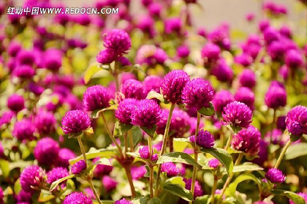 ���պ컨��