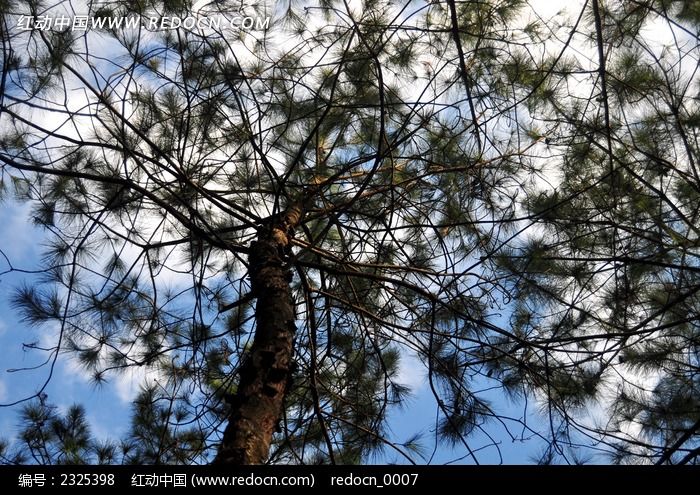 ����ͼƬͼƬ