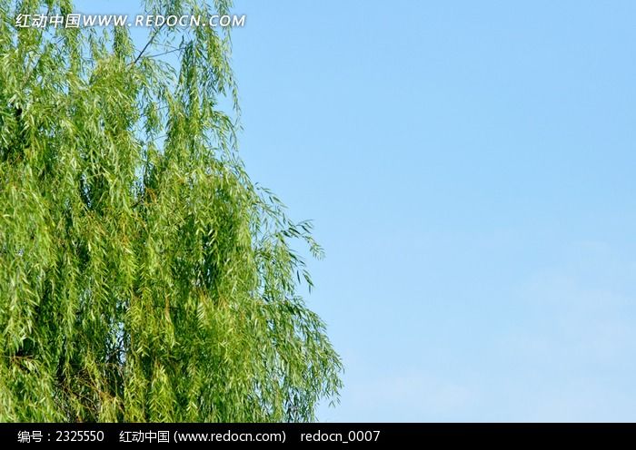 �����µ�����ͼƬ