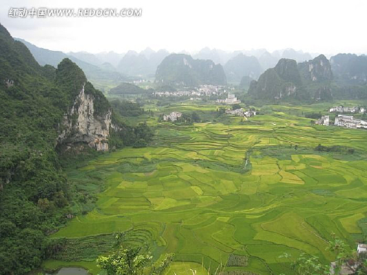 ��ɫ����