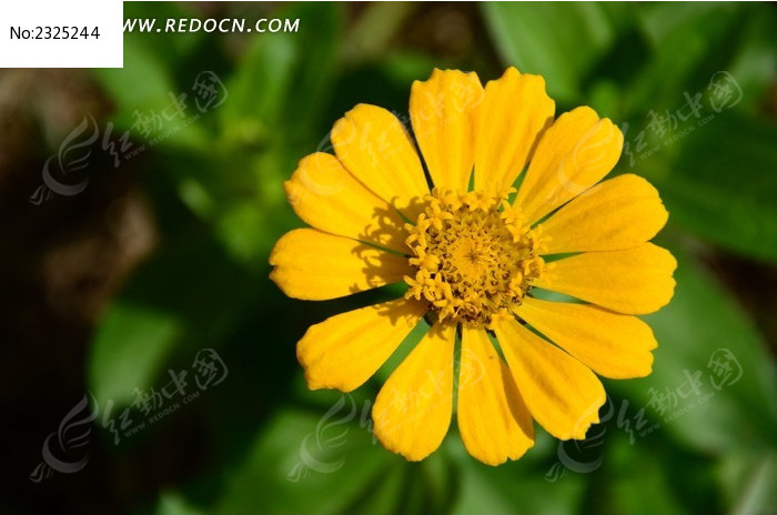 ���޵Ļ�ɫ���޾�ͼƬ